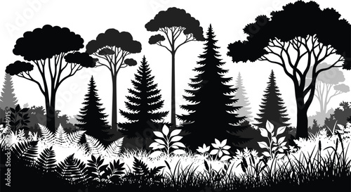 Black and White Forest Landscape Silhouette with Pine Trees, Ferns and Wild Plants Nature Vector Illustration Background