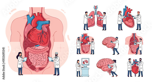 Extensive medical illustration set featuring doctors examining and treating various human organs like heart, brain, and lungs.