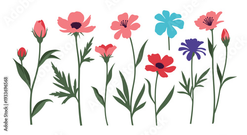 Set of delicate wildflowers in different colors and shapes with green leaves and stems shown in a row on a white background.