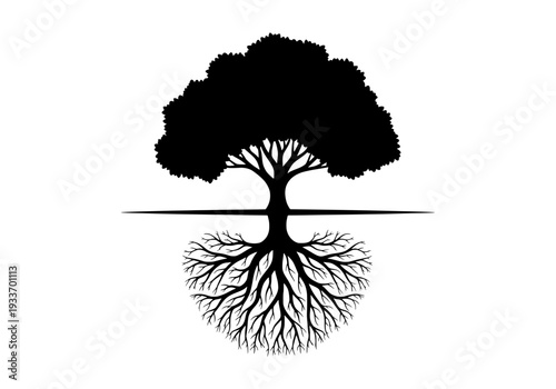 A black silhouette tree with visible roots on a simple background from a direct viewpoint