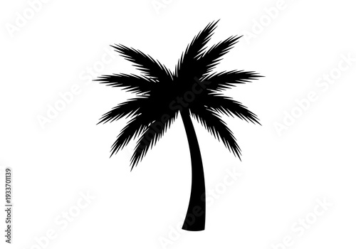 Solitary palm tree stands tall against a serene landscape viewed from a distant perspective