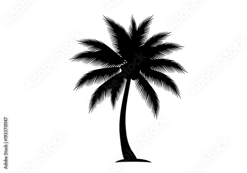 A single palm tree stands tall against a serene landscape viewed from a slight angle
