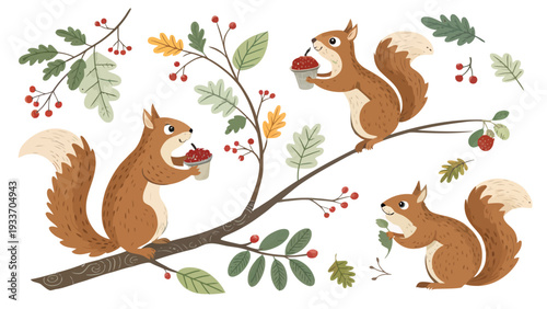 Three squirrels enjoying berries on tree branch illustration