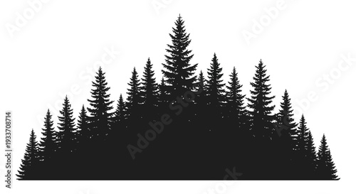 A dense grouping of evergreen trees creates a striking dark shape against a white background silhouette high quality