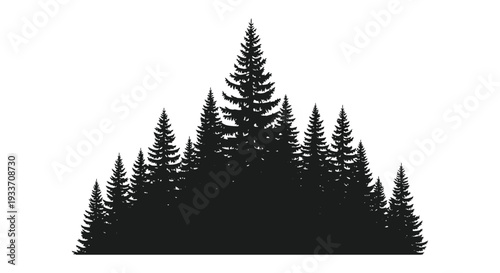 A striking arrangement of coniferous trees forms a dark bold shape against a white background silhouette high quality