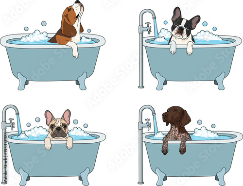 Cute Dogs Taking Bubble Bath in Vintage Bathtub Set with Different Breeds Isolated on White Background Cartoon Vector Illustration