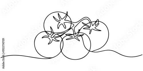Continuous one line drawing of tomato. A whole and sliced tomatoes. one line art icon drawing vector