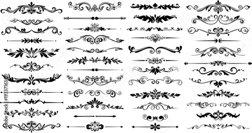 Schilderij op canvas Decorative Black Dividers: Ornate Flourishes and Text Separators Vector Collecti