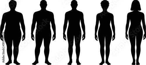 human body size comparison silhouette set vector, male and female height growth stages black figures, people body proportion variation isolated icon pack