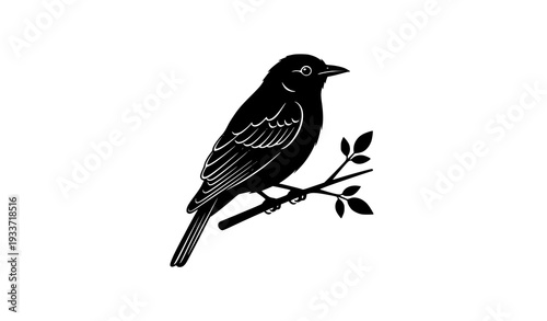 Minimalist Black Bird Silhouette on Tree Branch Isolated on White Background Vector