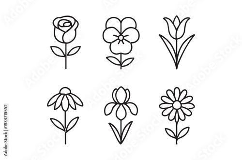Simple line drawings of various flowers arranged in a grid pattern