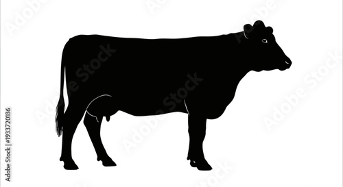 Black Cow Silhouette Standing Side View Isolated on White Background