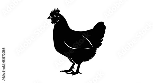 Black silhouette of a hen standing, isolated on white background. Farm animal icon.