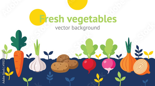 Freshly grown vegetables harvest in garden bed under sun