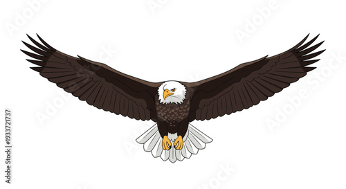 Powerful bald eagle with wings fully spread is captured in a detailed and realistic vector illustration as it flies across a clean white background.