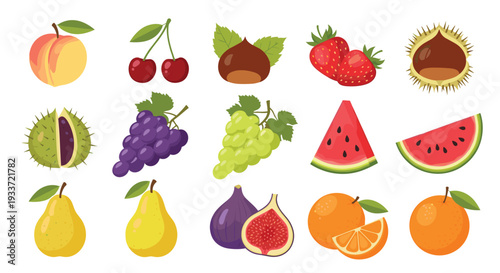 Extensive collection of fresh fruits and nuts including grapes, watermelon, orange, pear, figs, and chestnuts is shown in a flat vector style.