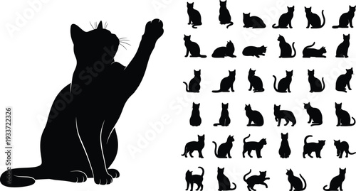 Black cat silhouettes collection with various feline poses, sitting, jumping, playing, and stretching isolated on white background for pet design projects