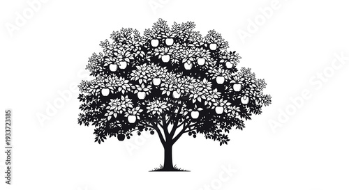A detailed black silhouette of an apple tree laden with fruit against a white background silhouette high quality