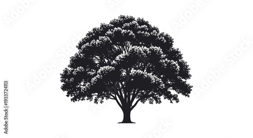 A striking visual of a large full tree depicted in stark black against a white backdrop silhouette