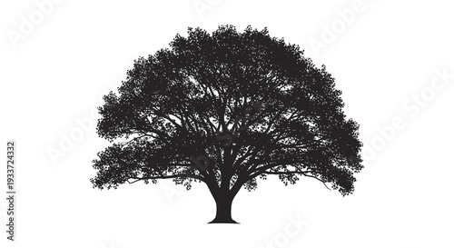 A detailed black silhouette of a large mature tree with expansive foliage creating a striking silhouette high quality