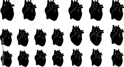 Human Heart Anatomical Progression: From Simple Silhouette to Detailed Internal Structures, Black on White Medical Illustration Series