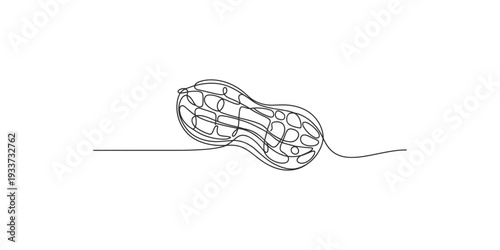 Continuous line drawing representing a peanut shell, minimalist artwork on a white background