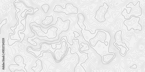 Contemporary Topography Map with Elegant Flowing Line Structure
Minimal Landscape Contour Texture for Fabric and Wallpaper Design