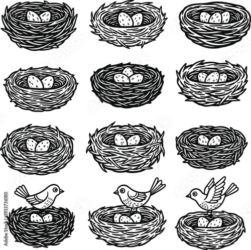 Silhouette of birds and nests with eggs illustration of avian life