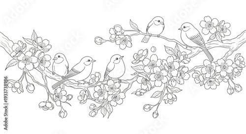 Charming Line Art Birds Perched on Cherry Blossom Branches