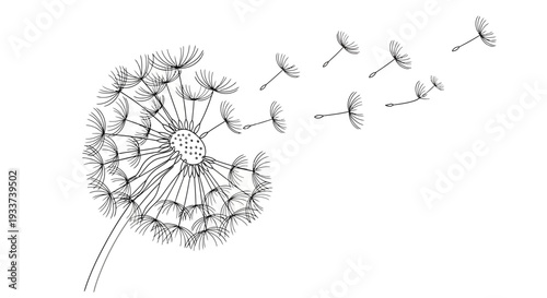 Dandelion seeds blowing in the wind, minimalist line art illustration