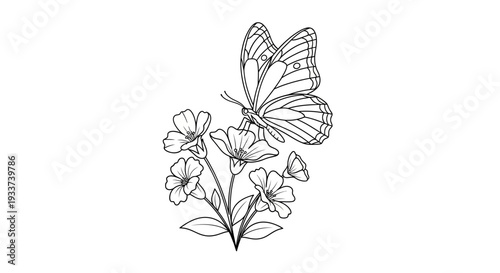 Elegant Butterfly on Delicate Flowers Line Drawing Illustration