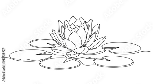 Elegant Water Lily Flower Blooming on Pond with Lily Pads, Line Art