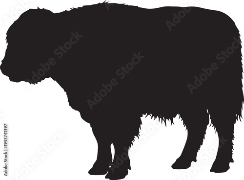 Yak Silhouette Isolated on White Background