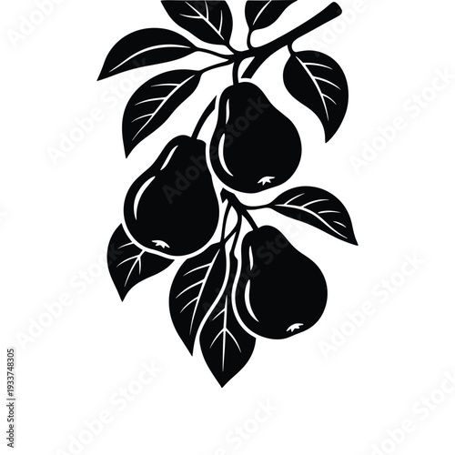 Pear fruit branch with leaves black silhouette isolated on transparent background