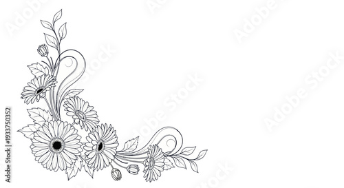 Delicate Floral Corner Design, Hand-Drawn Daisy Flower Illustration, Black and White Sketch