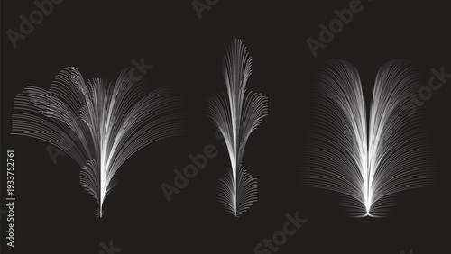 Open book with soft black and white feathers on a dark background