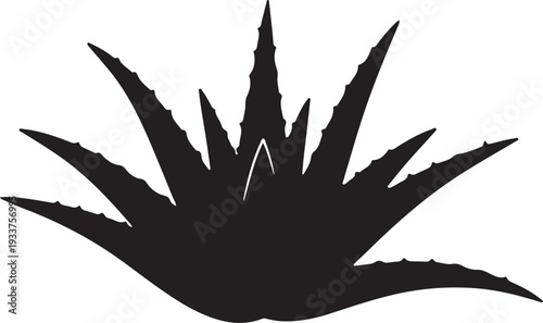 Black Aloe Vera Plant Icon Botanical Silhouette on White Background