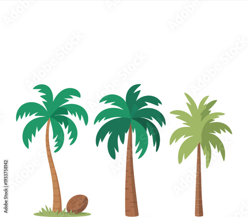 Cartoon-Style Coconut Palm Featuring Thin Brown Trunk, Lush Green Fronds, and a Coconut on the Ground