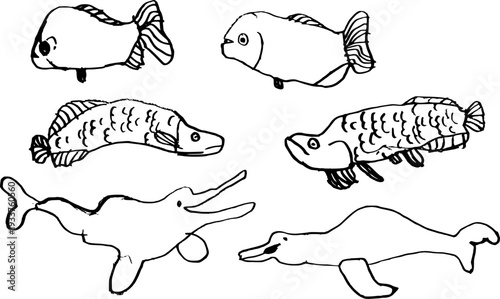 Hand drawn Amazon animals set, cute kids drawing style fish and pink dolphin, vector doodle illustration.