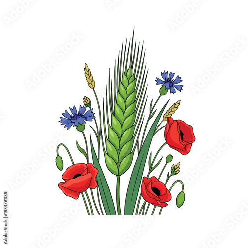 Illustration of wheat and wildflowers including poppies and cornflowers in a field viewed from the side