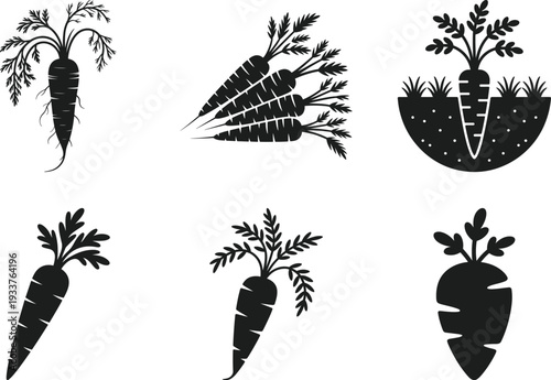 Carrot Silhouette Set with Root Vegetables and Garden Harvest Icons