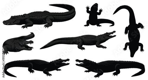 Collection of reptile silhouettes featuring crocodiles, alligators, and lizard in diverse poses, ideal for wildlife design, biology education, and creative illustration projects