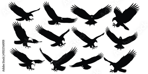 Eagle silhouette illustration set, black hunting pose design, flying bird motif, predator artwork, majestic nature symbol, decorative motif, flat vector drawing