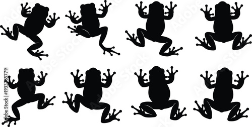 Black silhouettes of frogs in varied poses with spread limbs and splayed toes, arranged in rows, perfect for wildlife, amphibian, and design projects