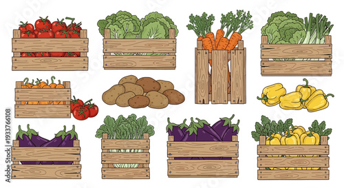 Assorted Vegetables in Wooden Crates.