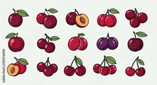Fifteen illustrations of various plums and cherries arranged in three rows