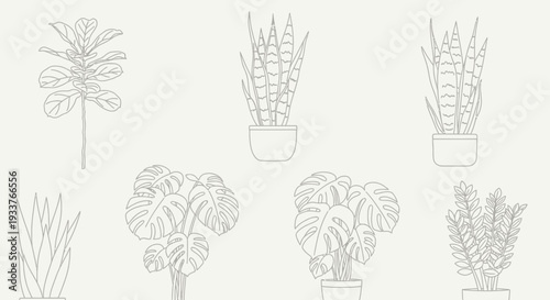 Collection of various houseplants in pots illustrated in line art style.