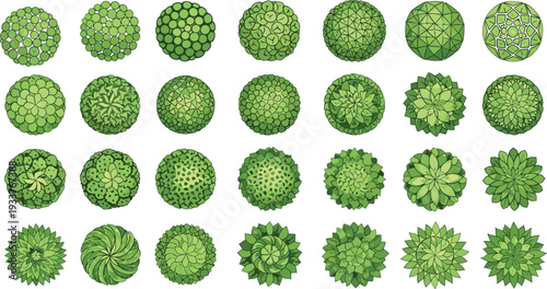 Vector collection of architectural landscape design tree symbols from top view for garden planning park layout master site map and outdoor greenery project.