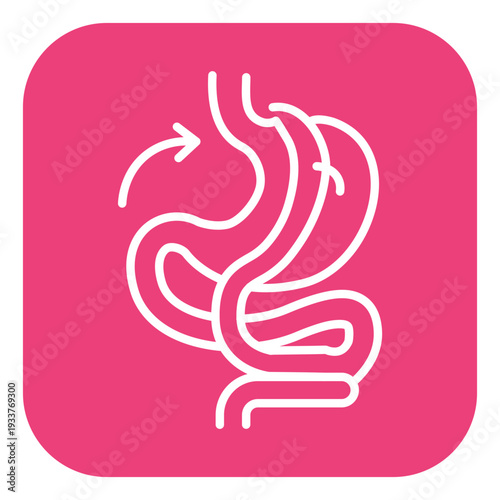 Gastric Bypass Vector Icon