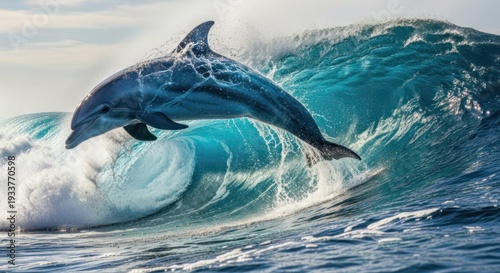 A dolphin leaping out of a large, blue wave in the ocean.